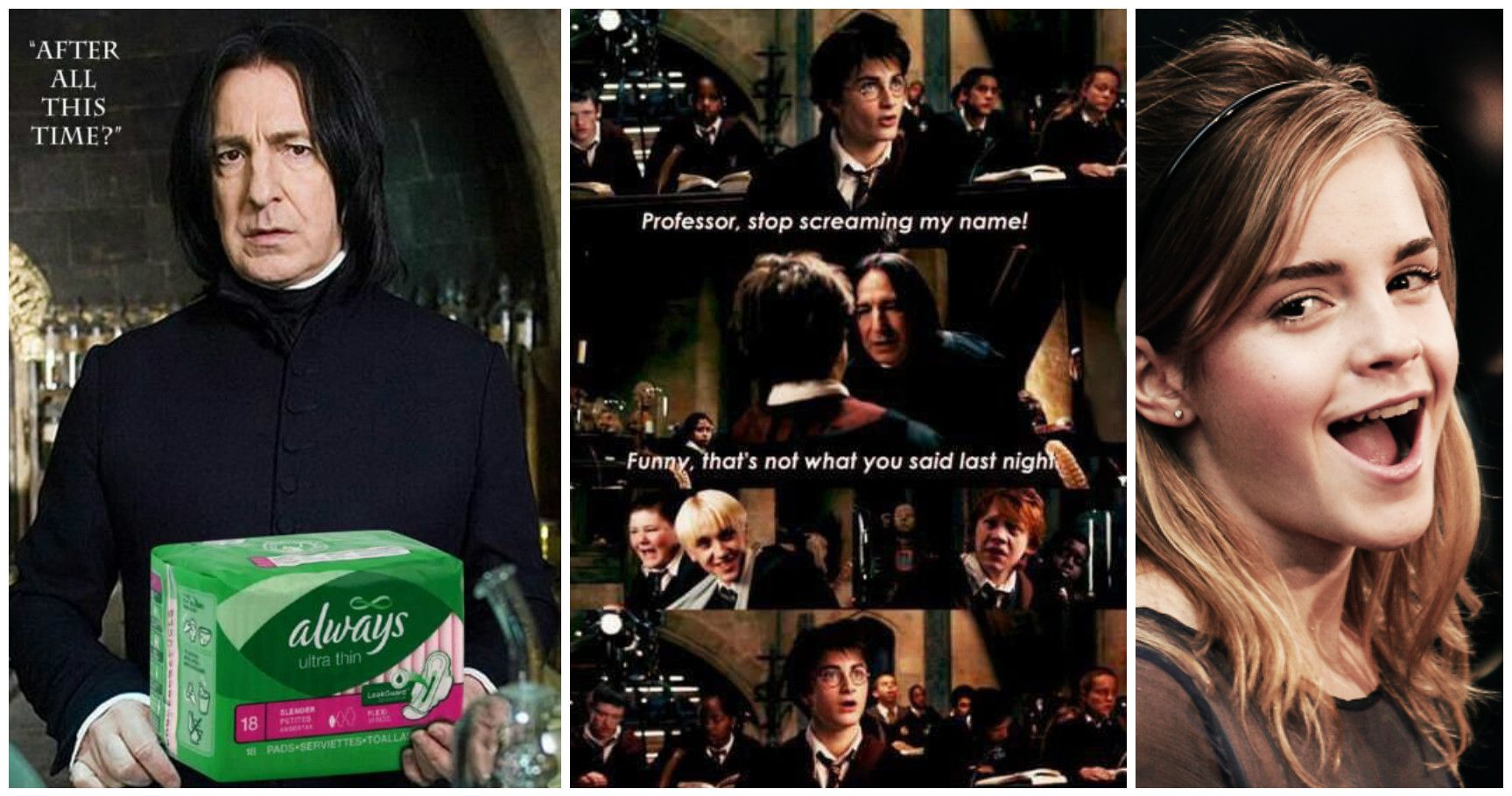 15 Inappropriate Harry Potter Memes That Are Pure Magic 5342