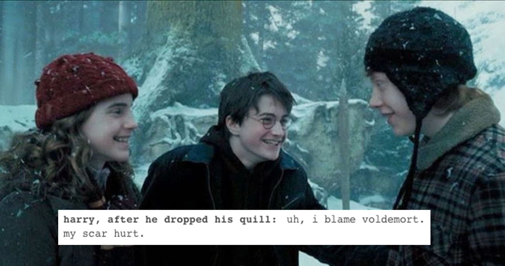 15-hilariously-incorrect-harry-potter-quotes-that-will-make-any