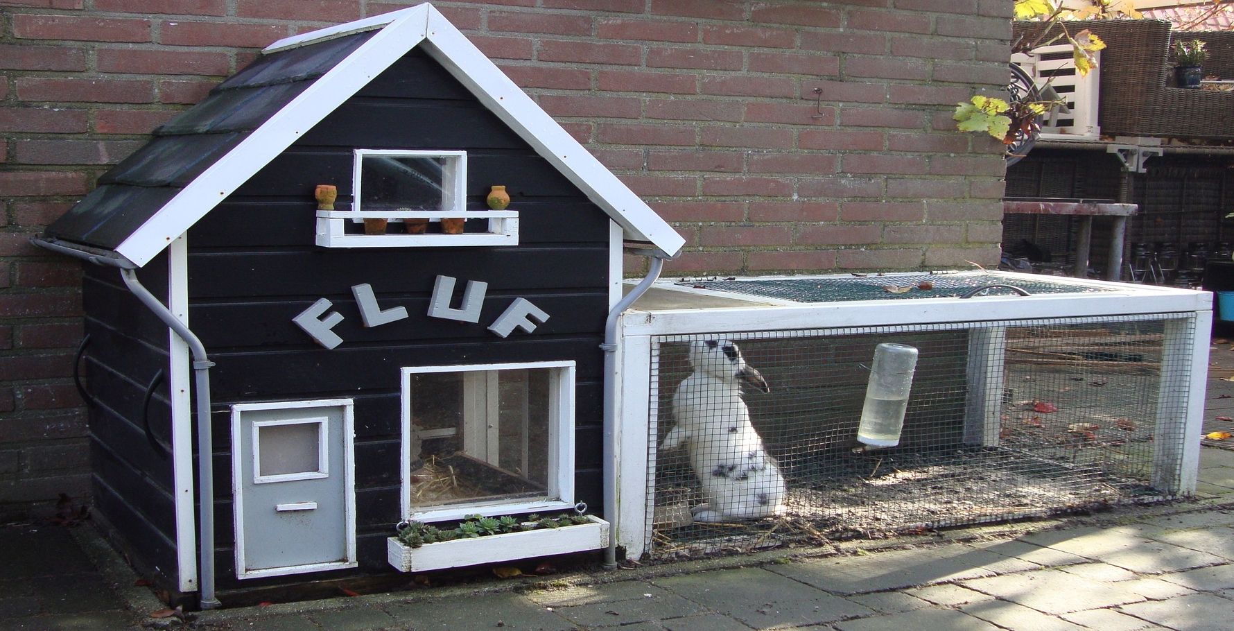 10 DIY Rabbit Hutches That Are Spacious And Cute | TheThings