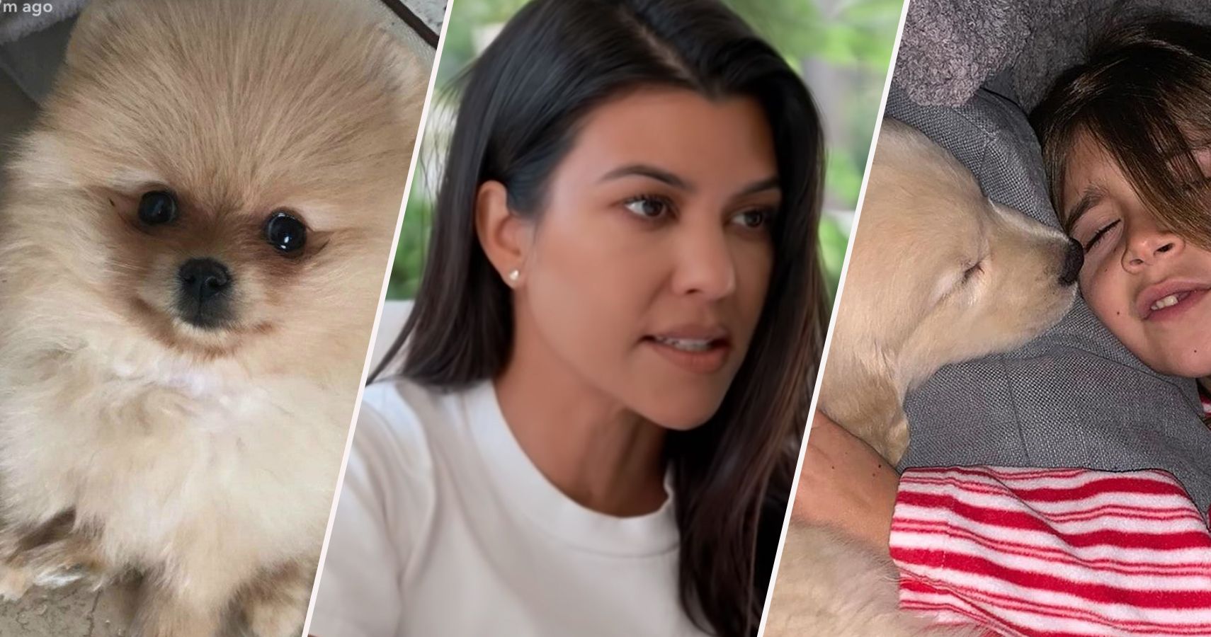 Kourtney Kardashian S New Dog Causes Concern Among Fans Her Response