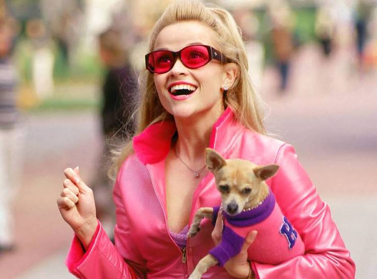 legally blonde