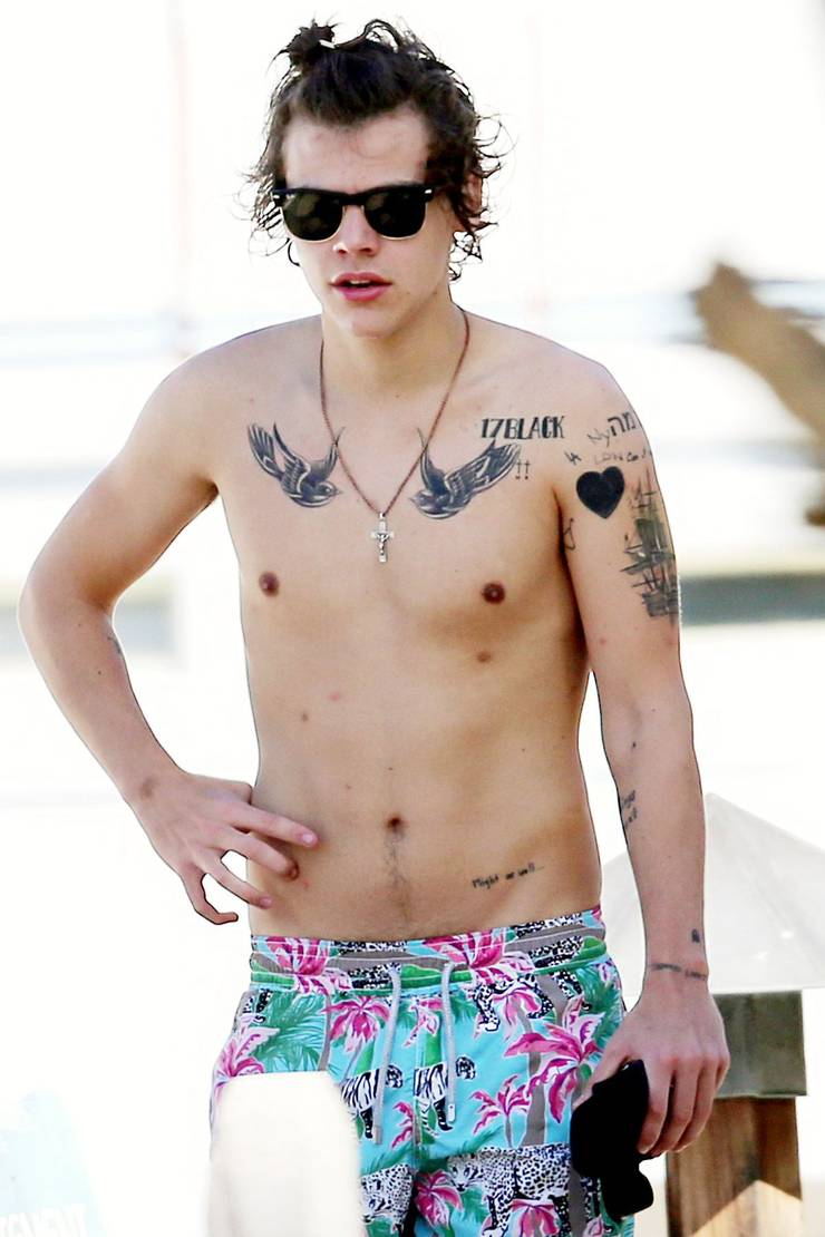Harry Styles Has Twice As Many Nipples As You'd Think! Harry Styles Has Twice As Many Nipples As You'd Think!