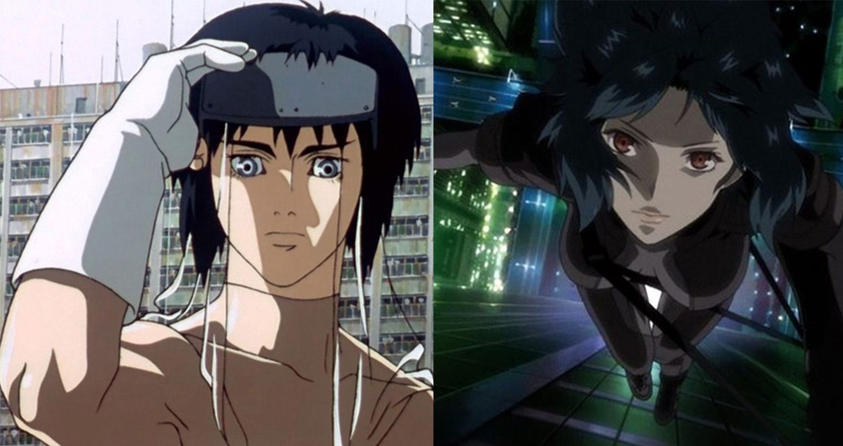 Ghost In The Shell Anime Series Ghost In The Shell Season 2 Confirmed...Days Before Season 1 Released