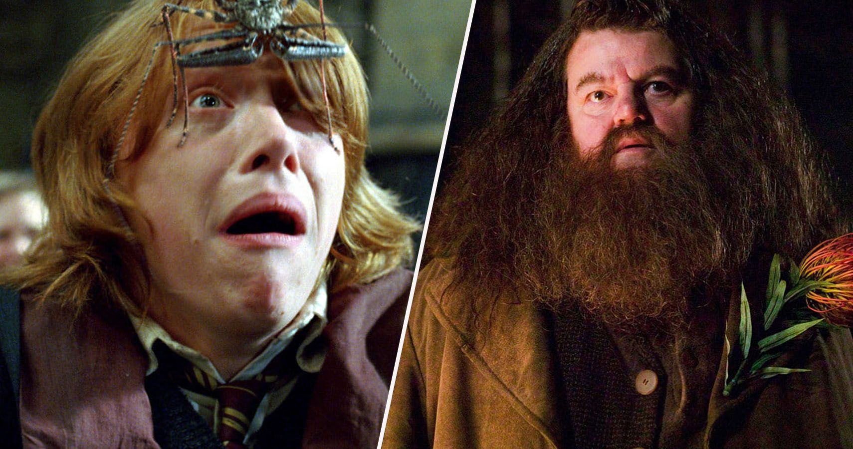 5 Actors Who Hated Their Time On Harry Potter (And 10 Who Loved It)