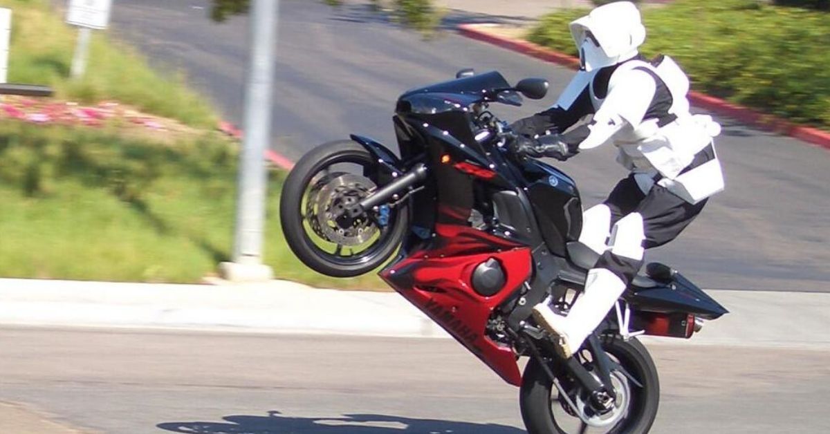 catwoman motorcycle helmet