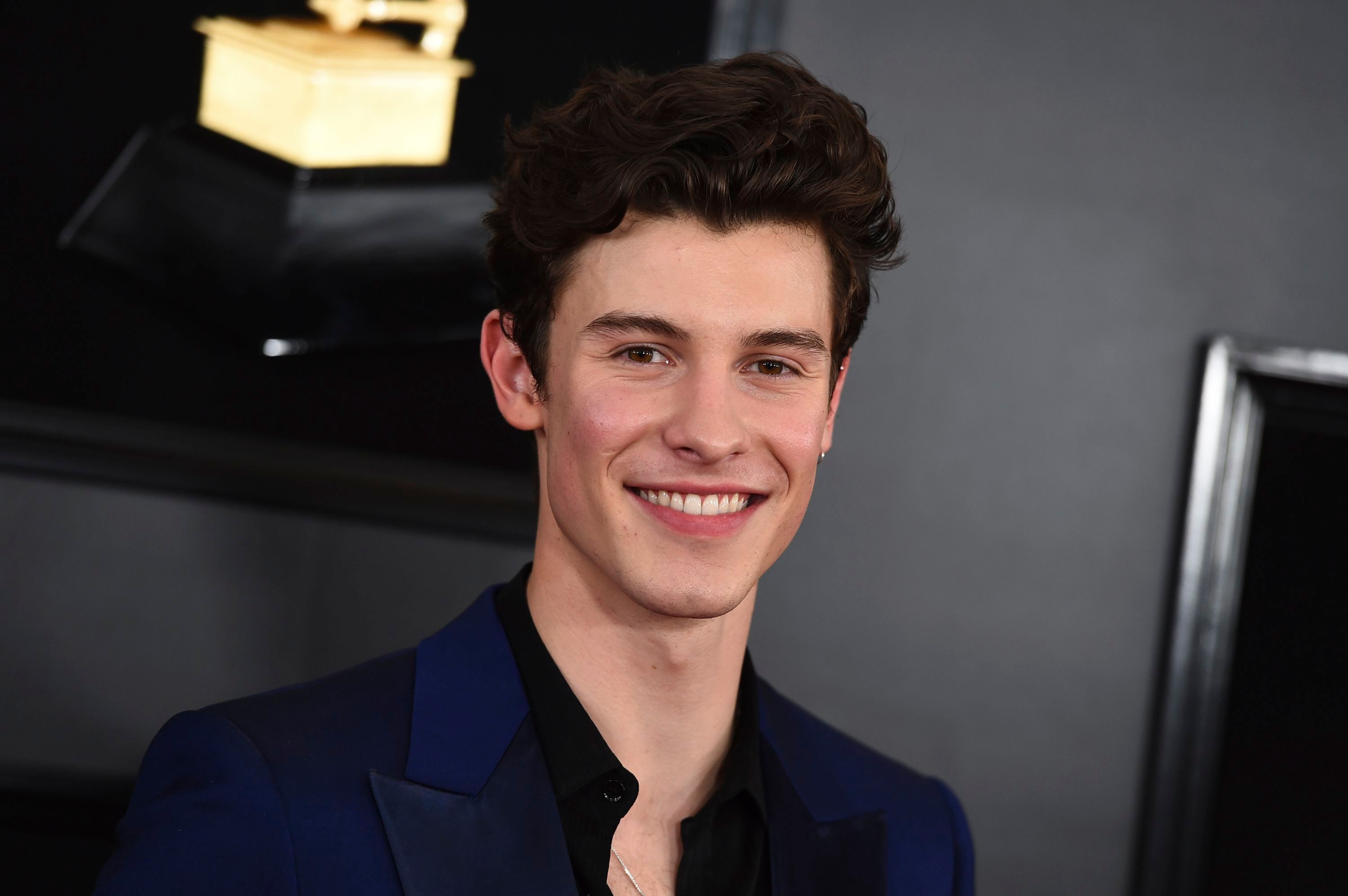 Facts Few People Know About Shawn Mendes Before He Became Famous