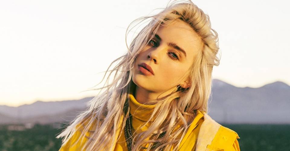 10 Unknown Facts About Billie Eilish Thethings
